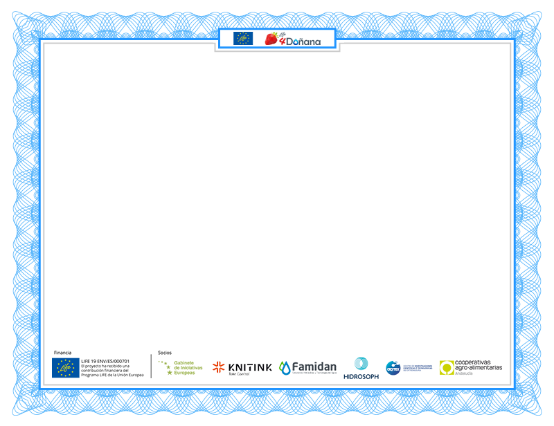 Certificate Background